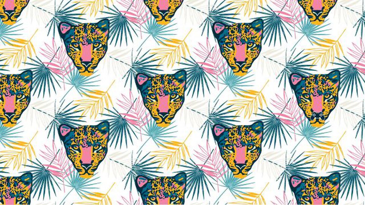 Find It! Animal Edition image number null